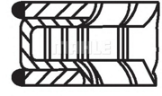 Mahle/Knecht 03301N2