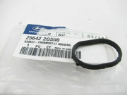 Hyundai-KIA 256422G500