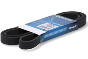 Dayco 6DPK1817